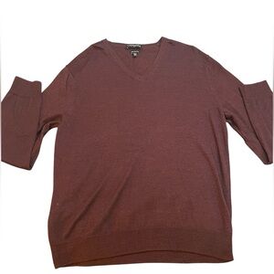 Express men’s Brown V-Neck Sweater Classic Knit